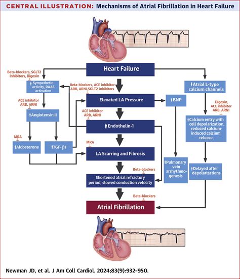 decreased systolic function
